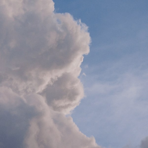 Header Bild